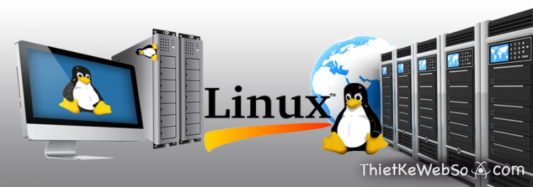 Nên chọn sử dụng hosting linux hay hosting windows?