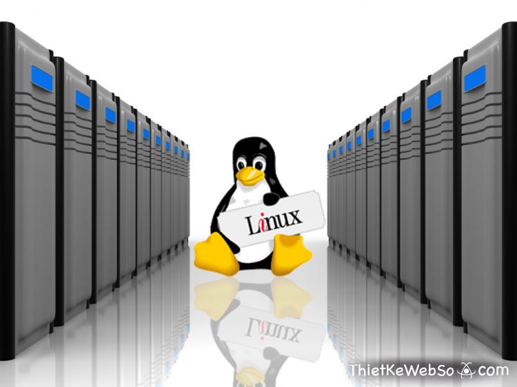Tìm hiểu về hosting Linux