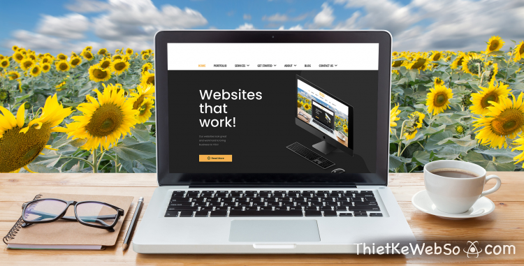 Dịch vụ thiết kế website trọn gói tại TP HCM
