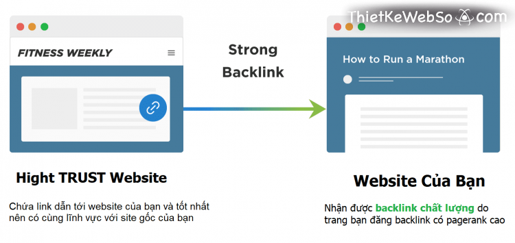 Backlink chất lượng cần những yếu tố gì?