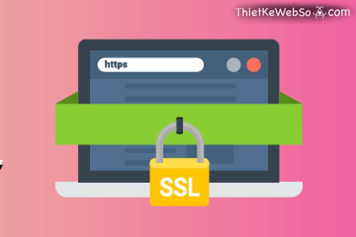 Tìm hiểu về chứng chỉ số SSL