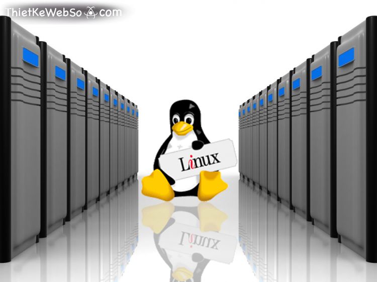 Phân biệt hosting Linux và Windows