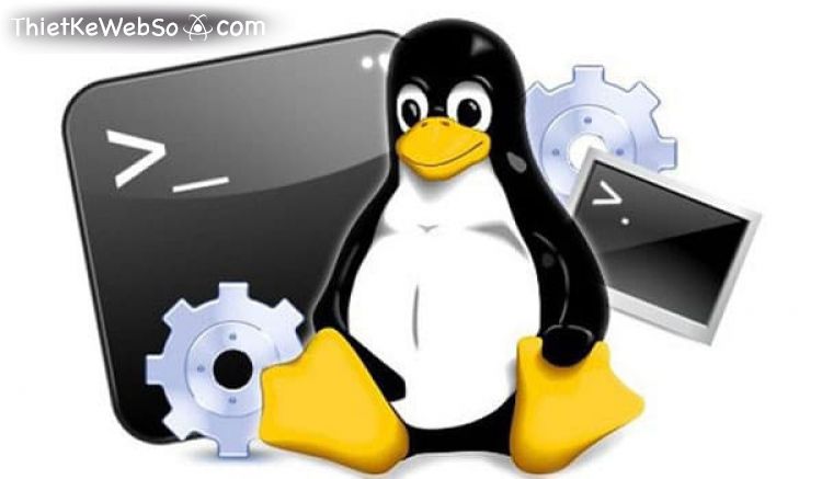 Tìm hiểu về hosting Linux và Windows