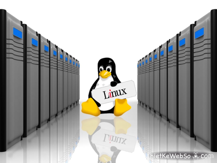 Có nên sử dụng hosting Linux?