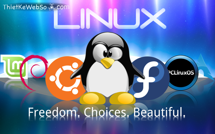 Có nên sử dụng hosting Linux?