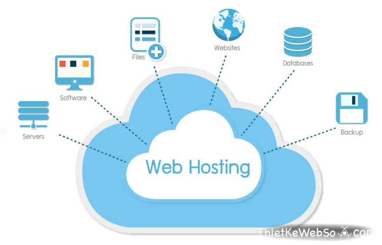 Web hosting là gì?