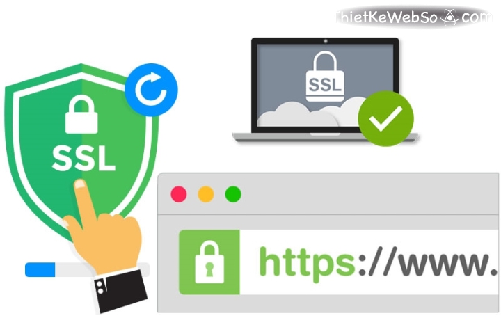 Vì sao website cần có chứng chỉ SSL?