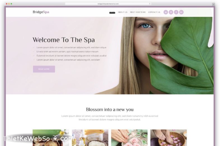 Dịch vụ thiết kế website cho spa tại Gò Vấp