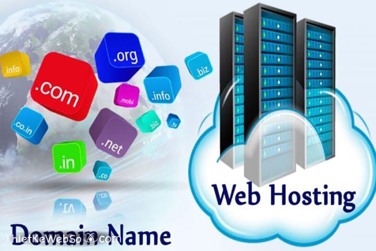 Mua domain và hosting giá rẻ ở đâu?