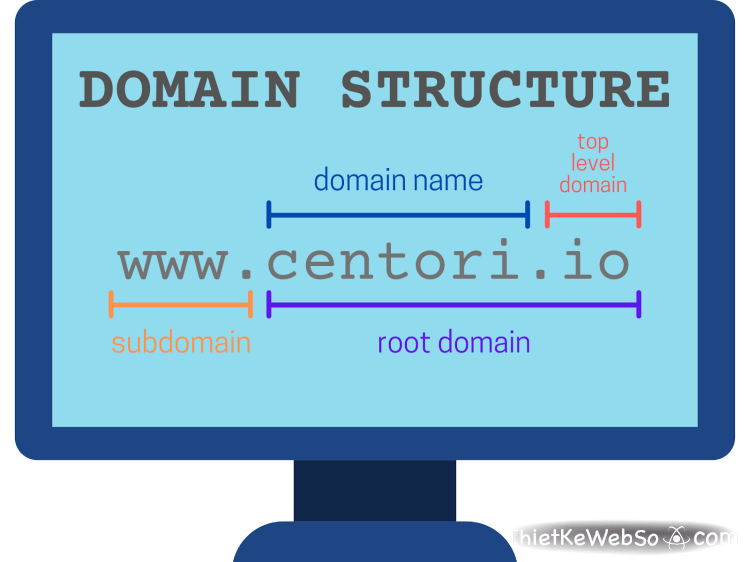 Root domain là gì?