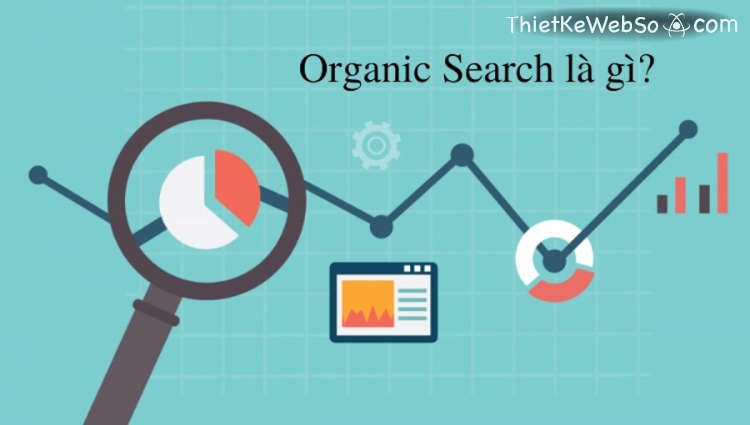 Organic Search là gì?