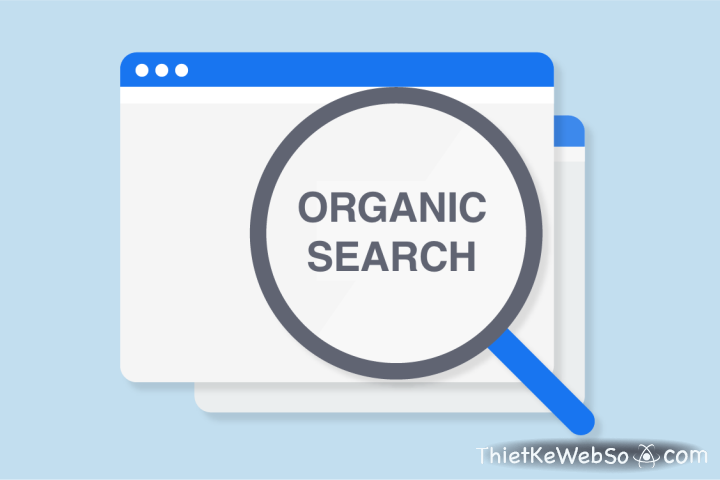 Organic Search là gì?