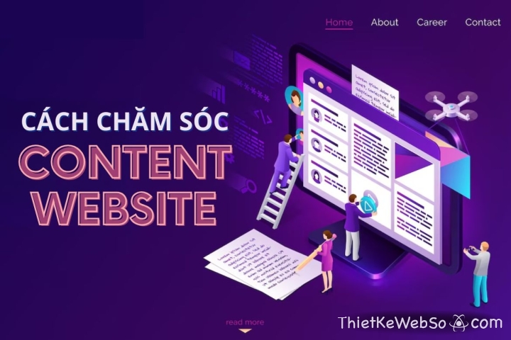 Bật mí cách chăm sóc nội dung website