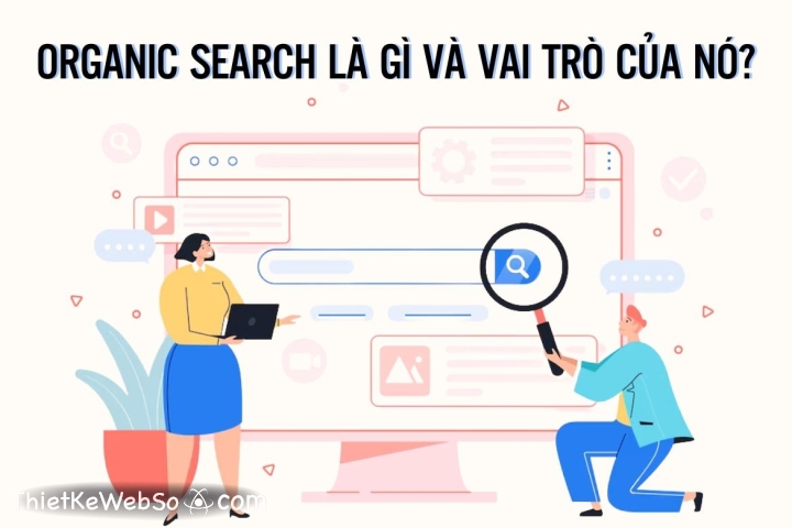 Organic search là gì và vai trò của nó?