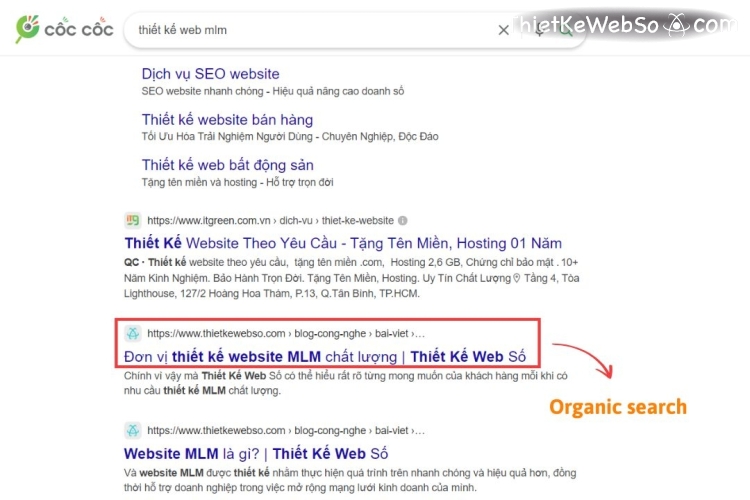 Organic search là gì và vai trò của nó?