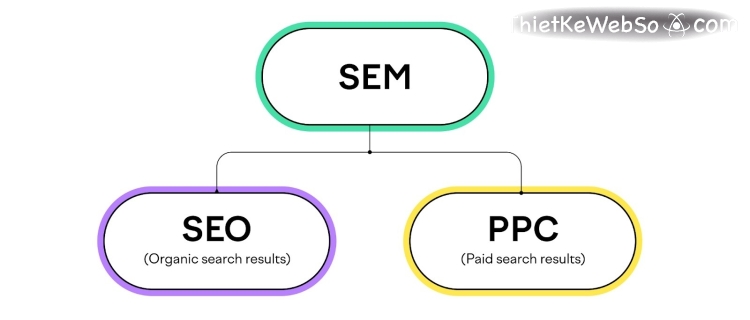 Phân biệt sự khác nhau giữa SEO và SEM